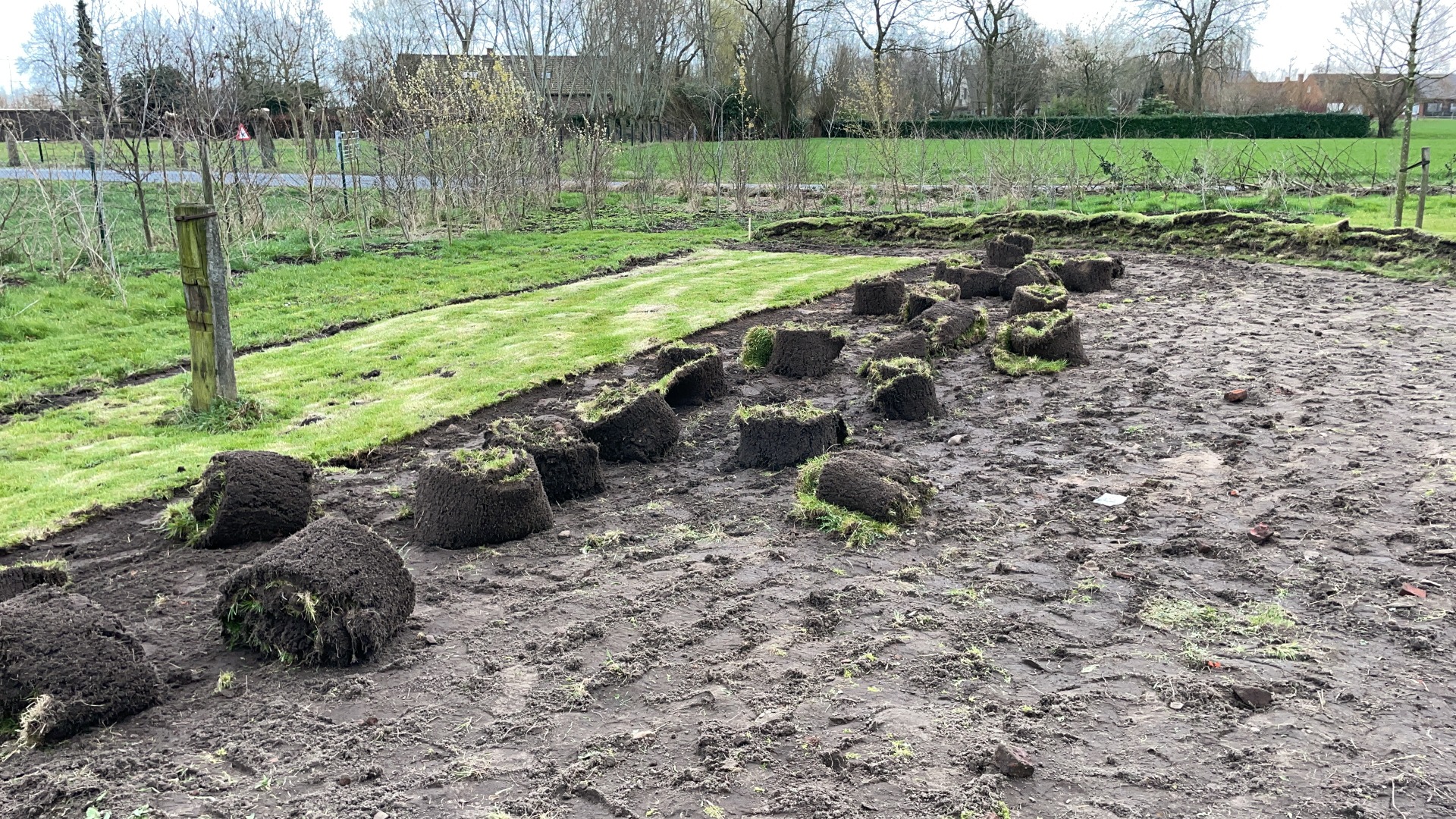 Bovenste graszoden dienen voor natuurlijke barrière.