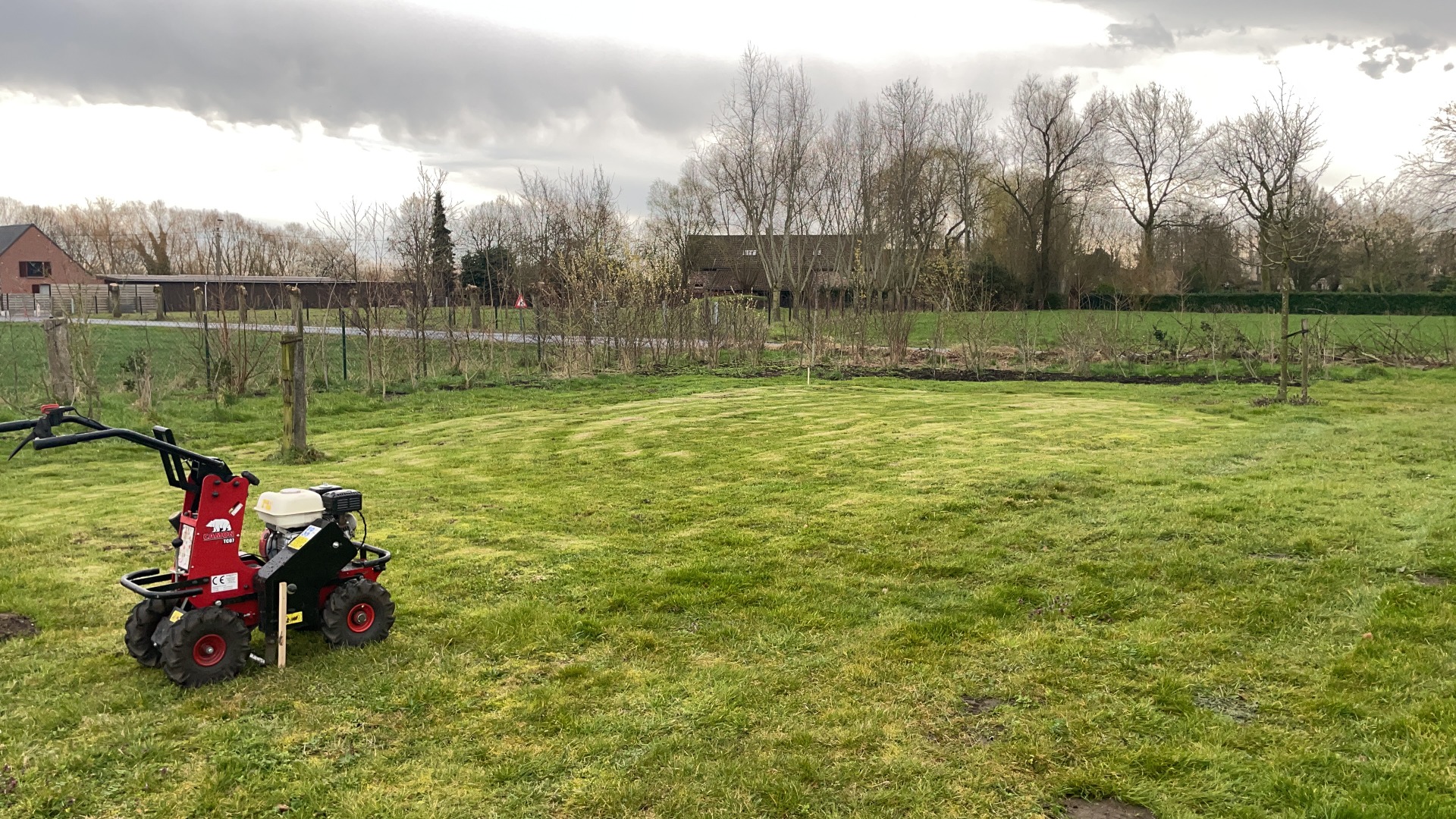 Vertrekkend van grasland.