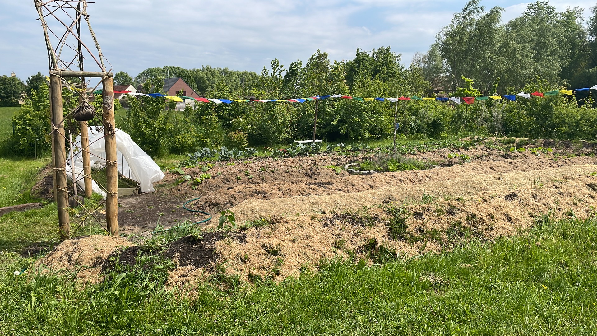 Basisstructuur is een feit.