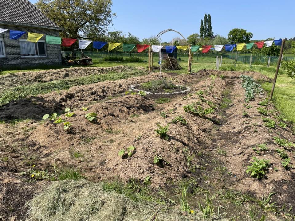 De planten kunnen hun gang gaan tot...