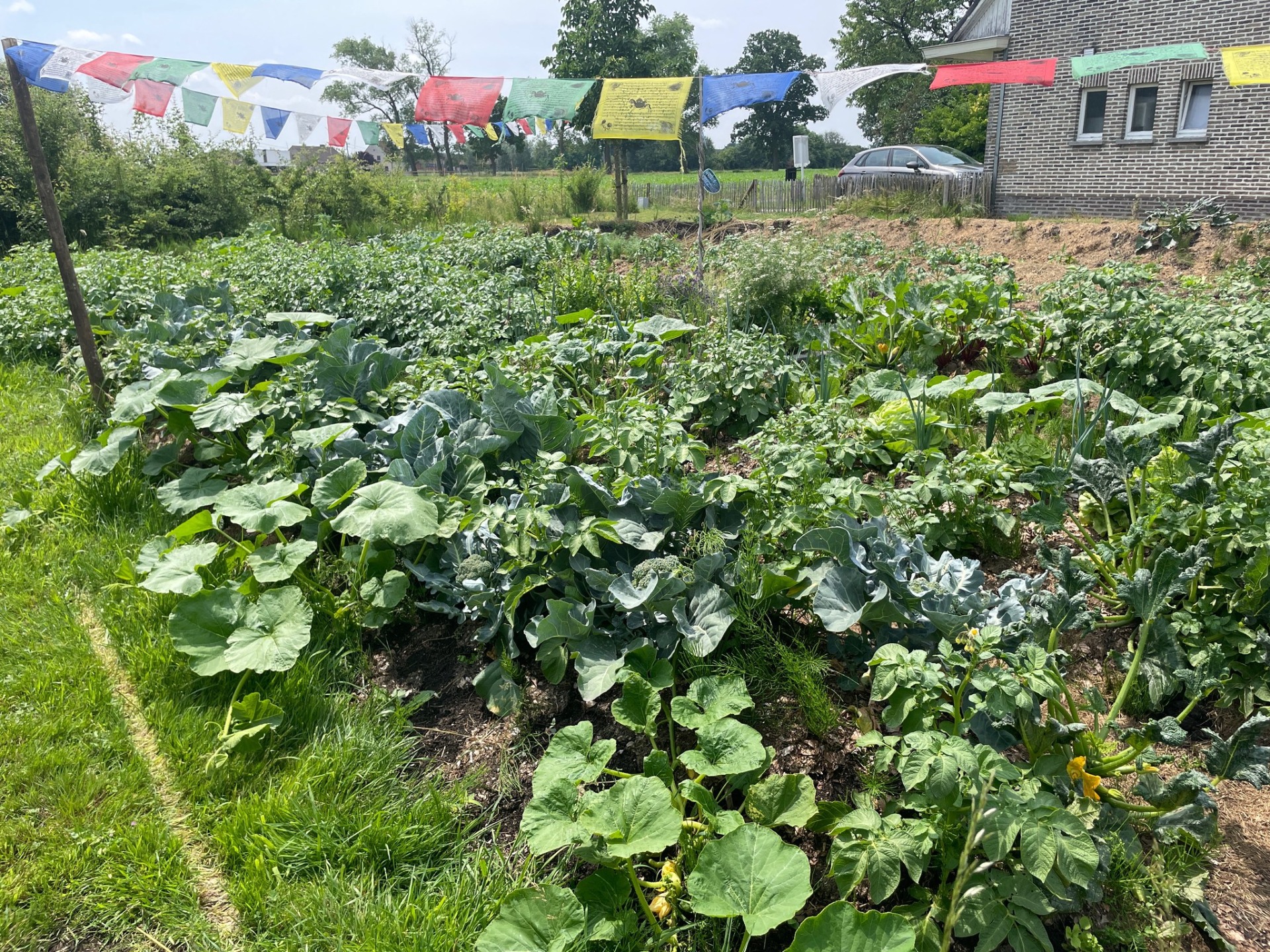 ze volgroeid zijn en bijna tijd is om...