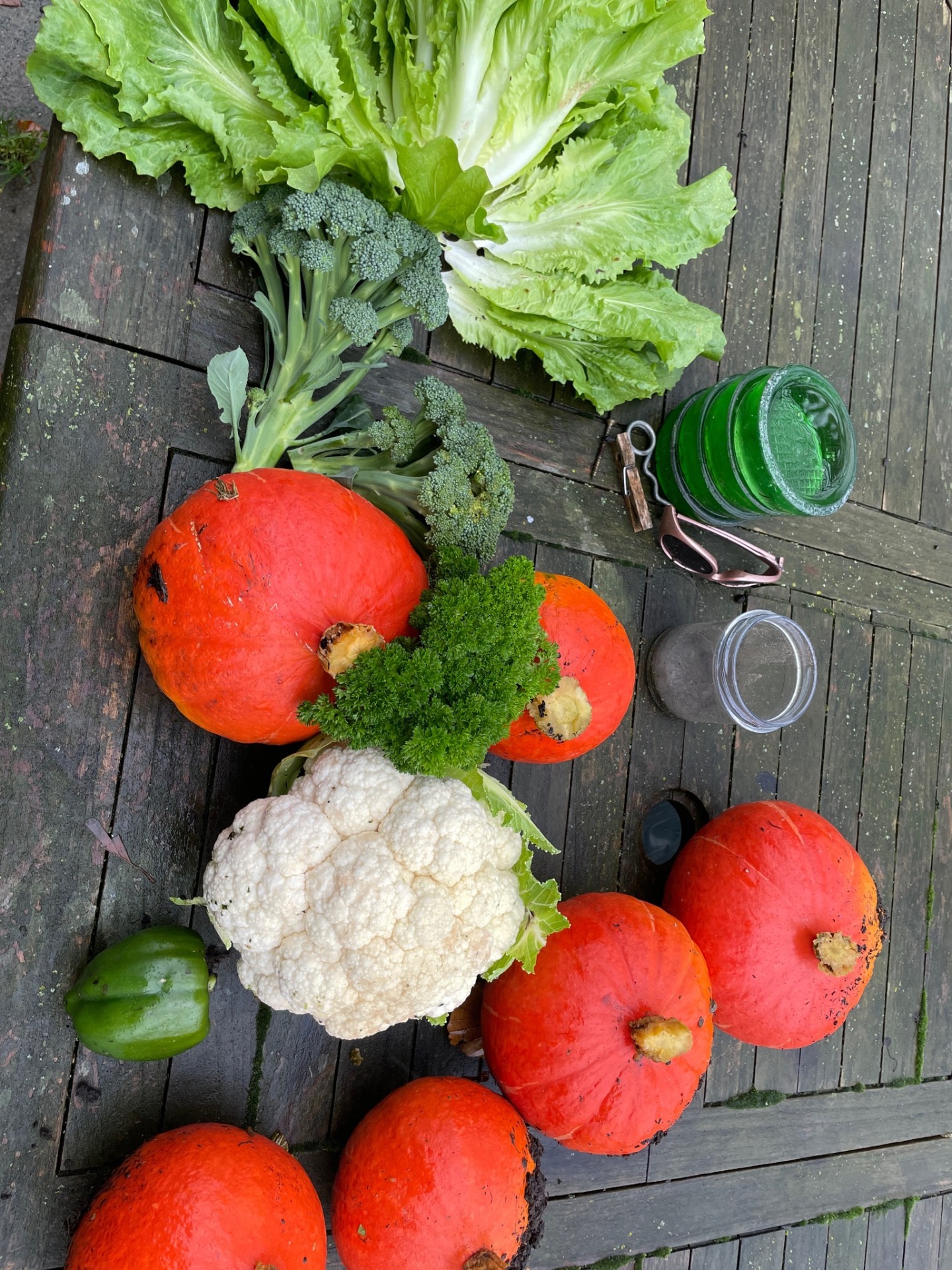 te oogsten in dankbaarheid en overvloed!!